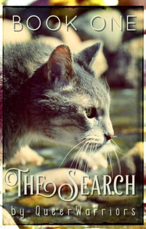 The Search by QueerWarriors