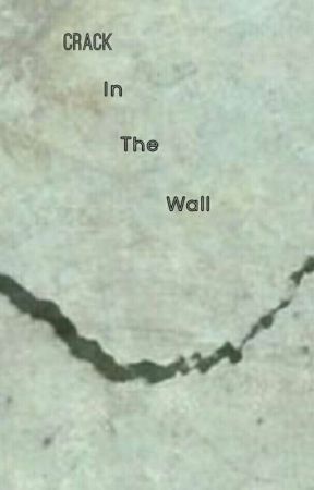 Crack In The Wall by marshmellostories