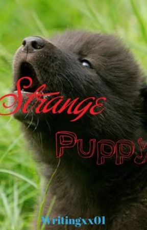 Strange Puppy by writingxx01
