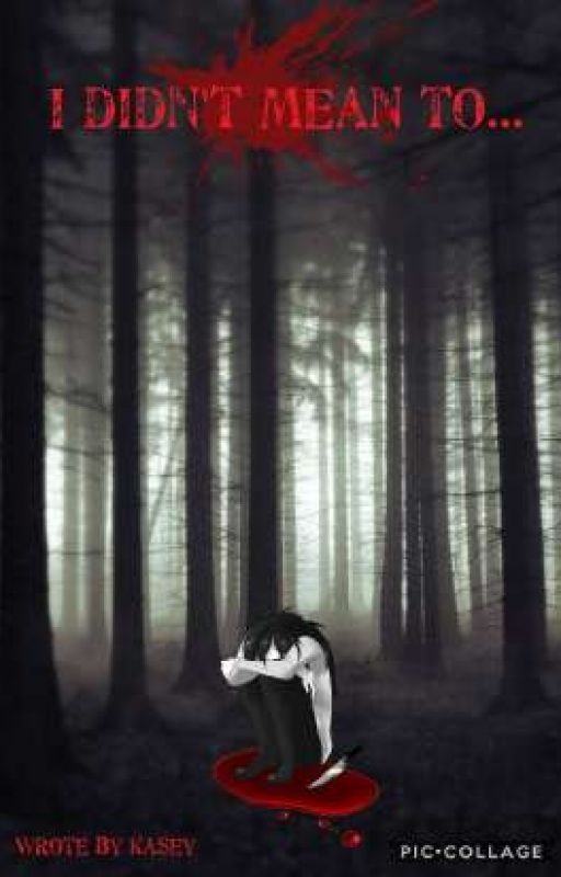 I Didnt Mean To... by kaseybeast