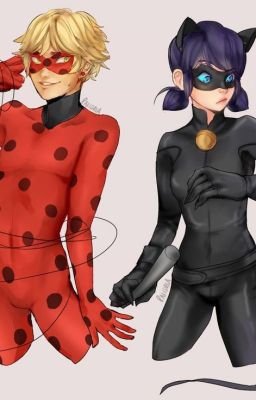 Lady bug e cat noir - ManuellaMello3 - Wattpad