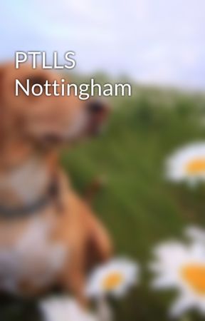 PTLLS Nottingham by lynettelall