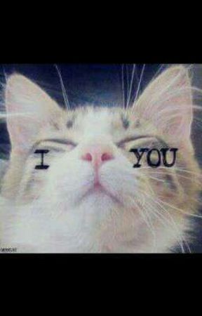 I Cat You <3 от LiamBT
