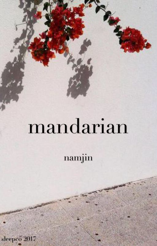 mandarin ;; namjin by sleepco