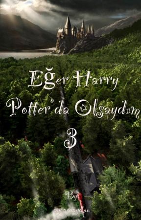 Eğer Harry Potter'da Olsaydım (3) by aysushisi