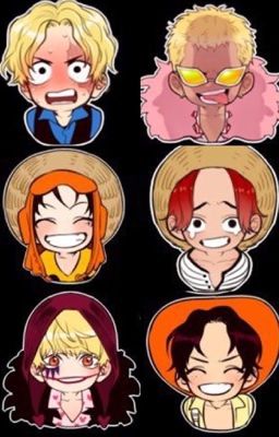 ALL I WANT - One Piece x Male!Reader. - Informações! - Wattpad