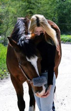 A horse, a bad boy, the story of a life by BADgirl200904