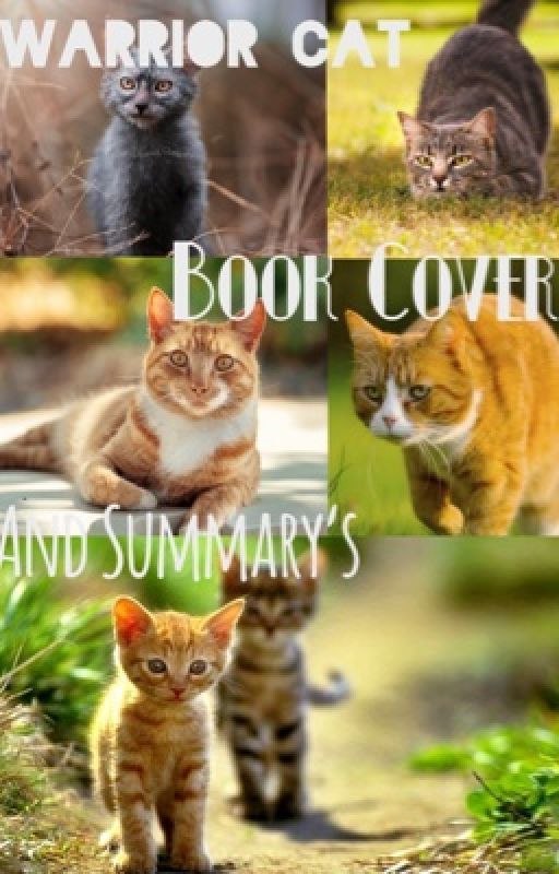 Warrior Cat Book Covers And Summary's by WarriorCatStorys011