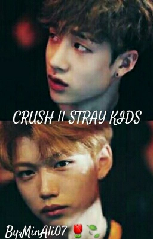 Crush || STRAY KIDS by _hxshii