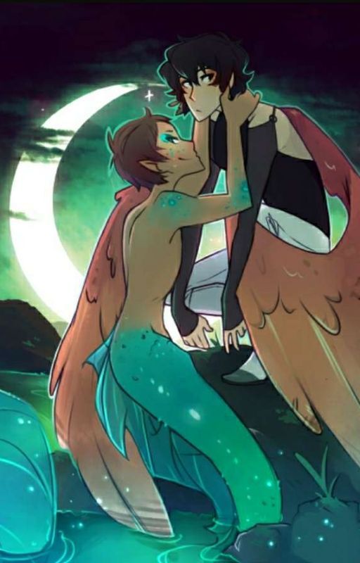 Untold Love (Mermaid! Lance X Avian! Keith) by saphiretheshipper