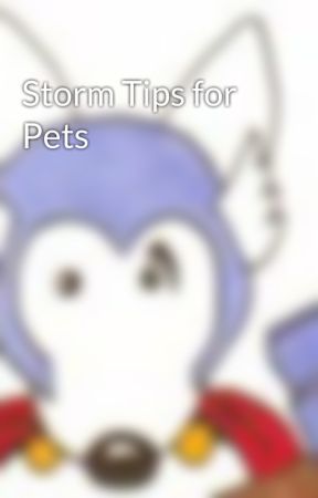 Storm Tips for Pets by BlakeOvard