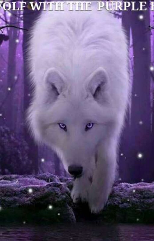 The Wolf With The Purple Eyes by Aliannbby