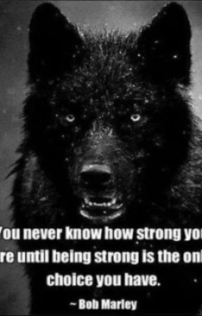 My favorite quotes de Ro_Kitty