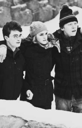 Harry Potter and The Spam-ly Hallows, de beachlasagna