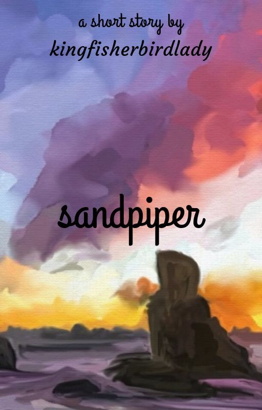 Sandpiper by KingfisherBirdLady