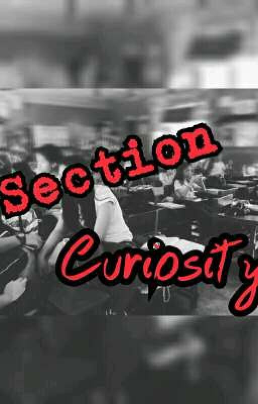 Section Curiosity ni kitchenplayer