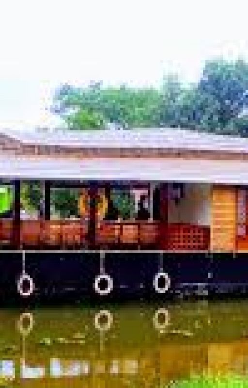 Best Thing to Do in Alleppey for Vacations by alappuzhahouseboat