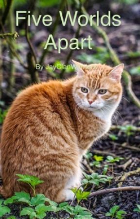 ~Five worlds apart~ |A WARRIOR CATS FANFICTION| by JayClanWarriors