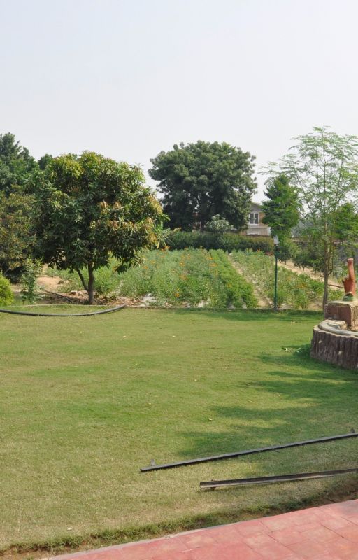 Coolest Hangout for Family outing near Delhi by bhagatfarm11