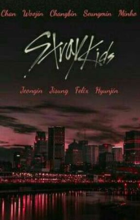 Solo Un Concierto ( Stray kids Y T/n) by minyoongi-stay