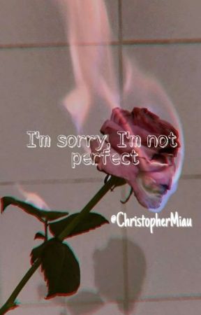 I'm sorry, I'm not perfect by ChristopherMiau