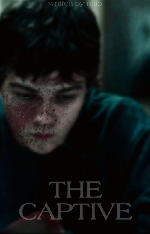 ✓ | THE CAPTIVE , ᵈᵘˢᵗᶦⁿ ʰᵉⁿᵈᵉʳˢᵒⁿ, de thoudeathwriter