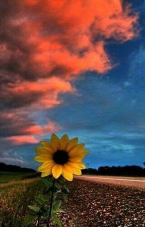 Flor mucha от Gustaoned