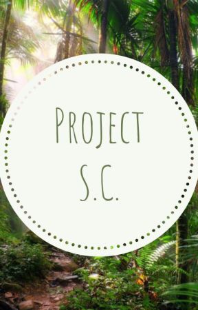 Project SC (Working Title) by TrueMixer