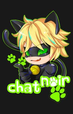 Chatnoir histórias - Wattpad