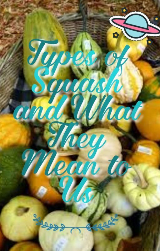 Types Of Squash And What They Mean To Us All by eatsquash