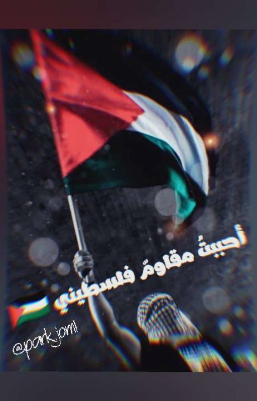 أحببت مقاوم فلسطيني ✌️🇵🇸 بقلم parkjom1