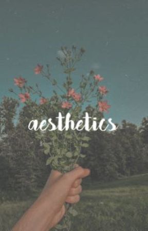 aesthetics بقلم z-zelda