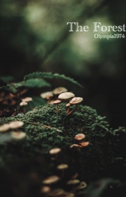 The Forest by olympia1974