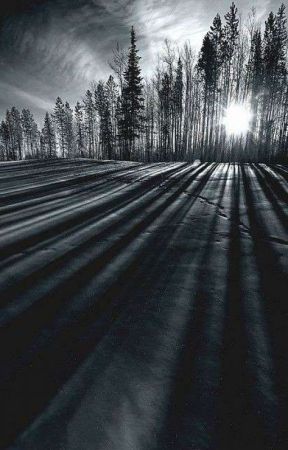 Le Don Sombre от Kureme