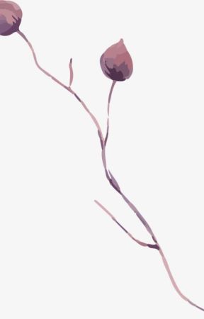 SOPE vtrans: white lie by thesoundofapril