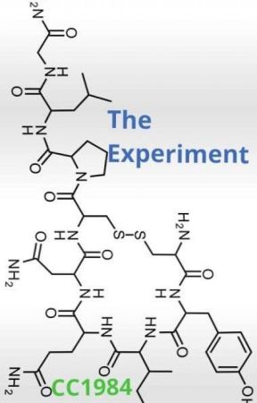 The Experiment by _cc1984_