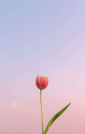 KUMPULAN CERITA RANDOM ♡ de chiqquita_