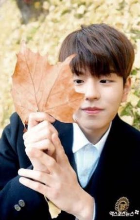 "Please, don't smile." | Seungmin, de seungminny