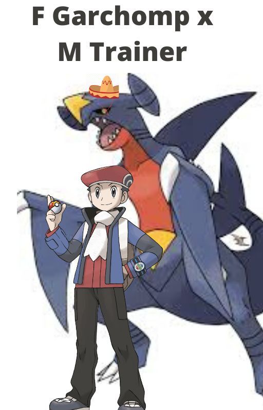 F Garchomp x M Trainer by wetmothes