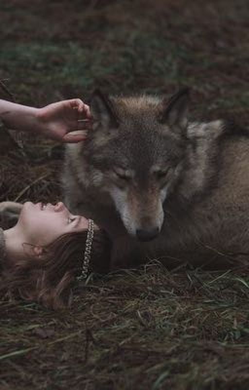 A wolf's mind by AzazelDagenheart
