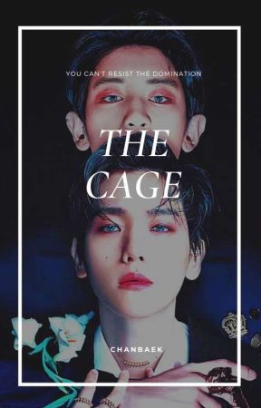 The Cage (CHANBAEK) by CBfam614