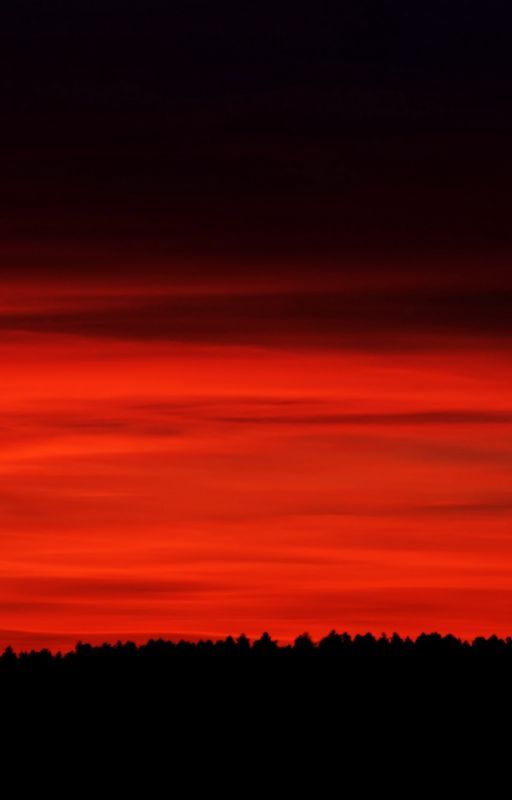 The Red Apocalypse by Survous08