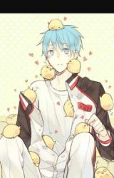 The Otaku Guild - Anime Discussion: Kuroko no Basuke (KnB) - Wattpad