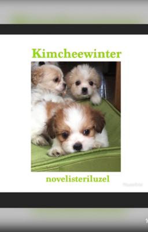 Kimcheewinter Lolo by Novelisteri