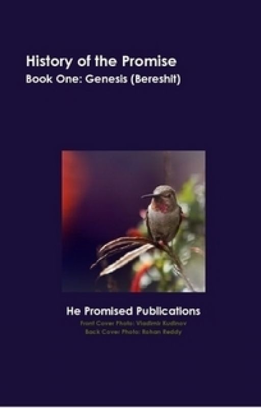 History of the Promise  Book One: Genesis (Bereshit) by He-Promised