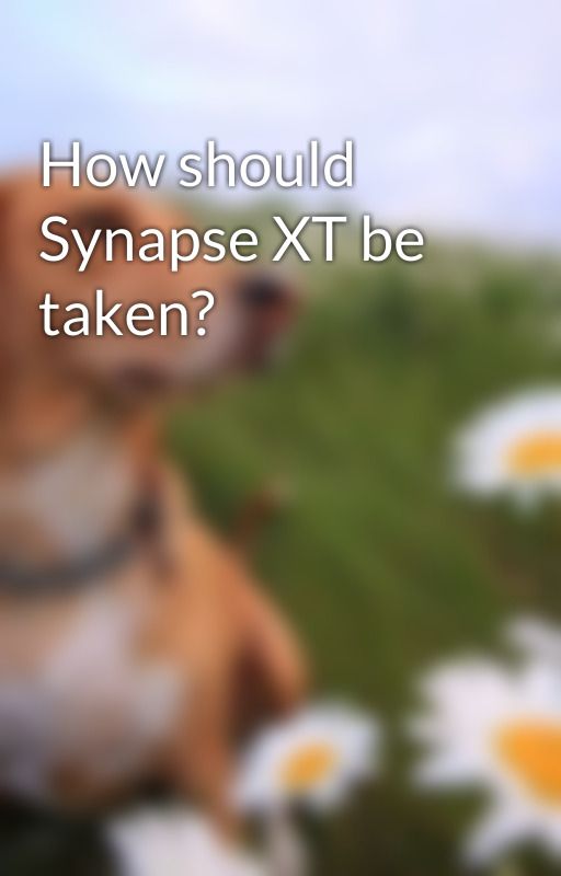 How should Synapse XT be taken? by viaxalenh