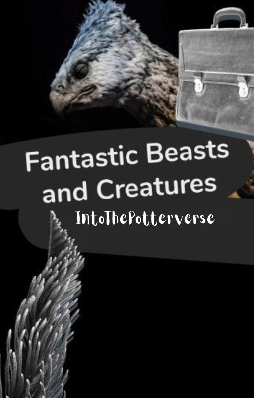 Fantastic Beasts and Creatures by IntoThePotterverse