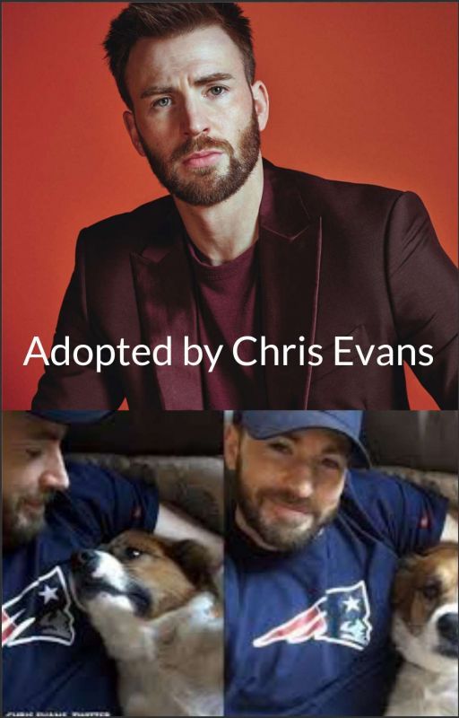 Adopted by Chris Evans by JustAGeekyNerd369