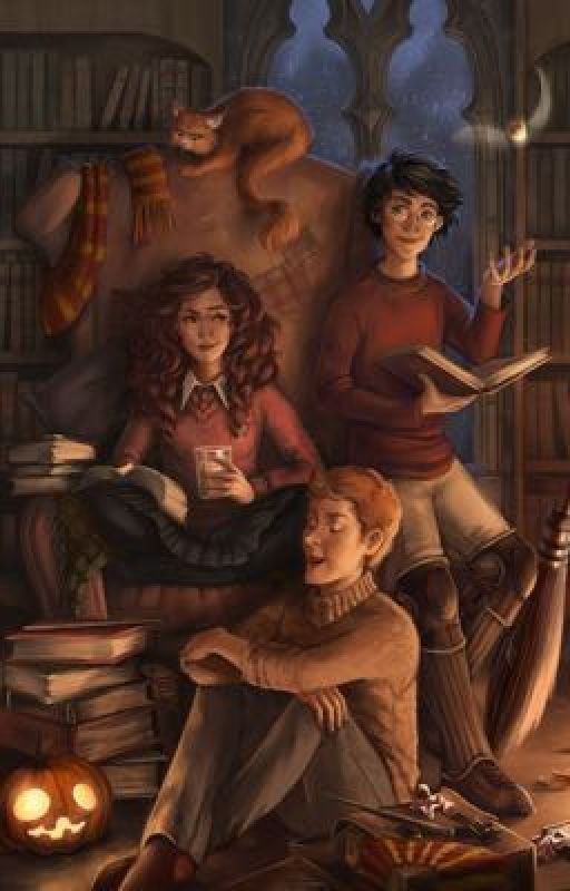 Harry Potter characters x reader by SadMemeQueen69