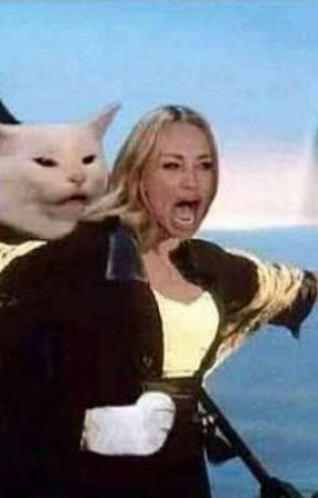 Je vais te faire mordre la poussière от junkootie